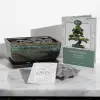 Hot Stone Therapy Pack - Exclusive to Prezzybox!


